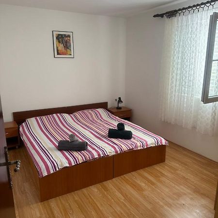 Apartmani Marko Novalja Exteriör bild